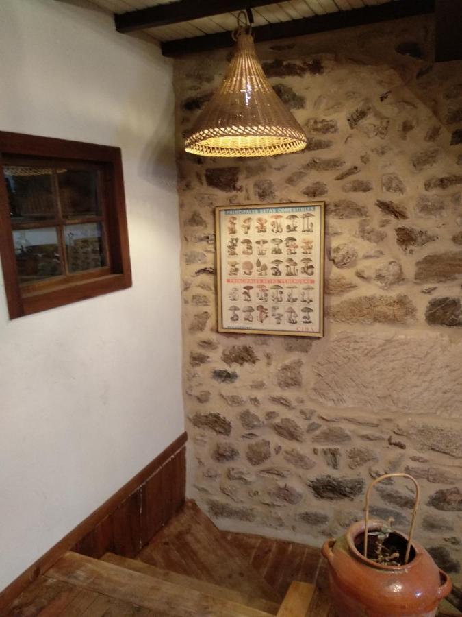 Casa Ribeira Sacra, Ourense, Ninodaguia, Galicia Dış mekan fotoğraf